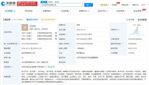 计算机软件开发 从概念到实现的全过程解析